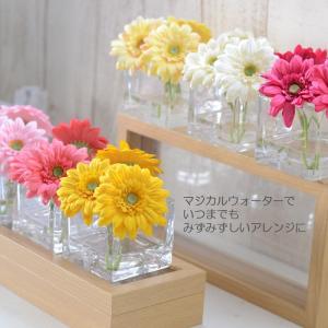 マジカルウォーター フェイクグリーン 光触媒 おしゃれ 人気 お手入れ