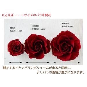 ミニグルーガンとグルーのセットの詳細画像2