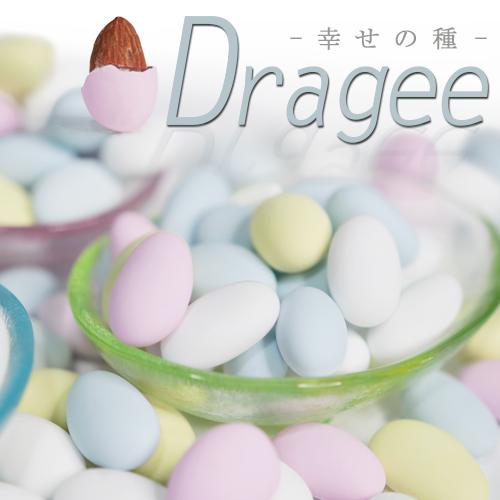 プチギフト ドラジェ1kg