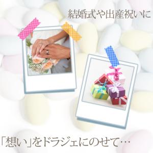 プチギフト ドラジェ1kgの詳細画像4