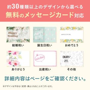 ブルーノ ホットプレート ブルーノ オーバル ...の詳細画像1