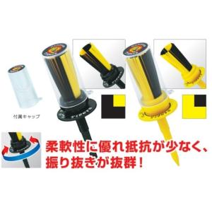 タイガースブラシティーの詳細画像1
