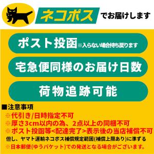 【ネコポス便】24SS ROXY ボードショー...の詳細画像2