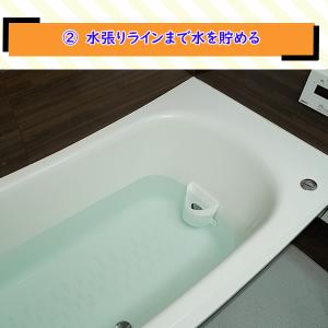 高濃度風呂釜用洗剤 ナイアガラーン お得な3回...の詳細画像2