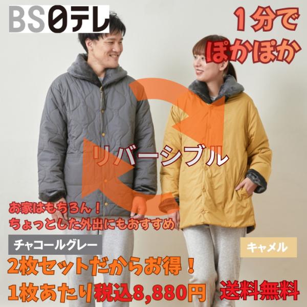 テイジン　速暖半纏すぐぽか　2枚セット　帝人 TEIJIN 半てん そくだん はんてん すぐポカ 冷...