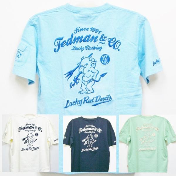 テッドマン TEDMAN 刺繍半袖Tシャツ TDSS-487 アメカジ バイカー ミリタリー