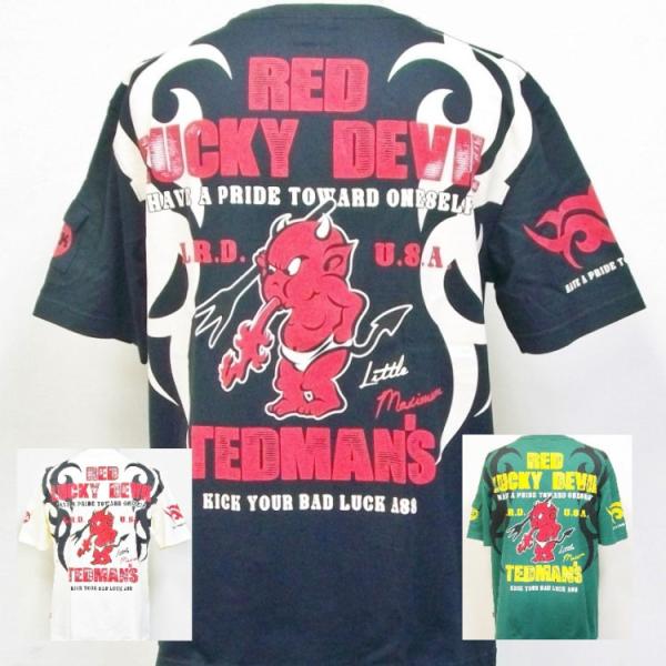 テッドマン TEDMAN 半袖Tシャツ TDSS-507 トライバル アメカジ バイカー ミリタリー