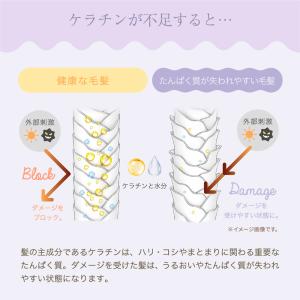 トリートメントの素 髪の NMF 原料混合液 ...の詳細画像4