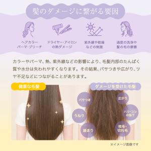 トリートメントの素 髪の NMF 原料混合液 ...の詳細画像5