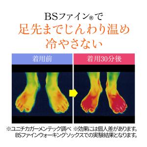 [2足組][BSファイン]ウォーキングソックス...の詳細画像4