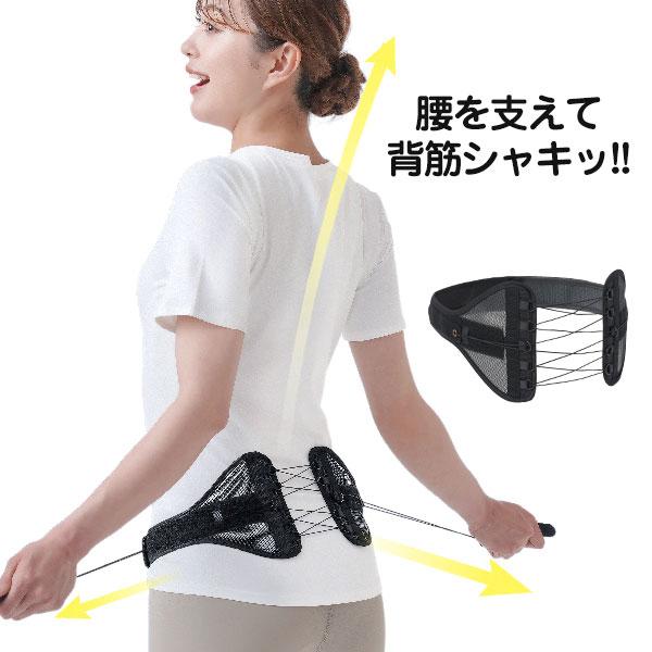 骨盤ベルト 姿勢ベルト Dr.PRO シャキット腰ベルト