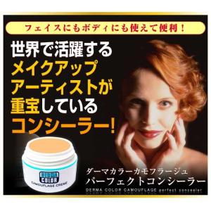 ウォータープルーフカバーコンシーラー　ダーマカラーカモフラージュ パーフェクトコンシーラー