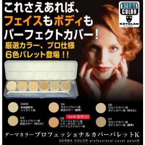 MAQuillAGE（マキアージュ） 資生堂 パーフェクト マルチコンパクト 22