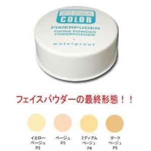 ダーマカラー　フィキシングパウダー