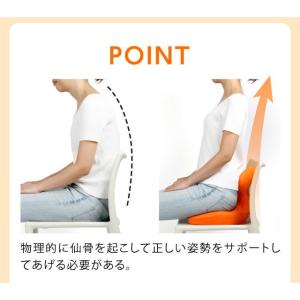 骨盤座椅子 凛座の詳細画像4