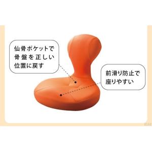 骨盤座椅子 凛座の詳細画像5