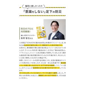 災害 防災グッズ 釘踏み防止インソール 防災靴...の詳細画像2