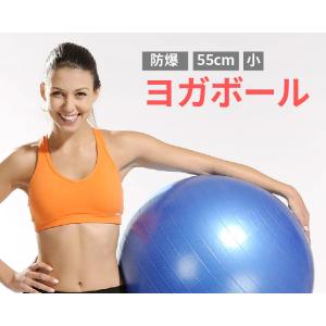 【メーカー直送品】Absport（エービースポーツ） ヨガボール バランスボール 55cm 防爆 AP-35-55cm