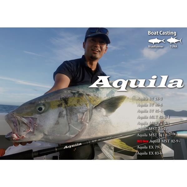 【リップルフィッシャー アクイラ 82-9+】RippleFisher Aquila MST 82-...
