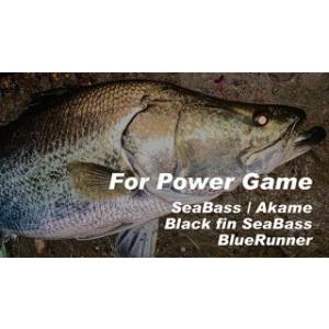 リップルフィッシャー　モンスターインパクト90H Ripple Fisher / モンスターインパクト 【MonsterImpact 90H】 - Blue