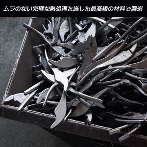 五十嵐プライヤー 新潟県三条市発 本格小型プラ...の詳細画像5