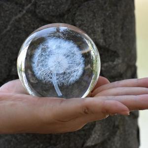 クリスタルボール3D植物タンポポたんぽぽテラリウム置物ガラスボール装飾インテリアオーナメント｜bsy1-st