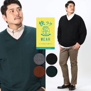 セーター 大きいサイズ メンズ 快ラクWEAR 快楽 カイラク ウォッシャブル カシミヤ混 Vネック ニット 長袖 B＆T CLUB｜btclub