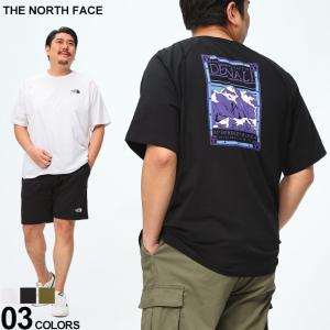 THE NORTH FACE ザ ノースフェイス 半袖 Tシャツ ハーフドーム マウンテン ロゴ ラグラン プリント クルーネック 大きいサイズ メンズ NF0A87NU｜btclub