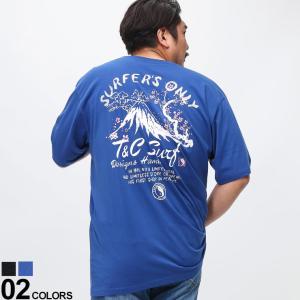 半袖 Tシャツ T＆C Surf Designs (ティーアンドシーサーフデザイン) 3L 4L 5L 富士山バックプリント クルーネック 大きいサイズ メンズ｜btclub