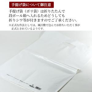 手提げ袋 ポリ(再利用可能 厚手 80μ)白色...の詳細画像2