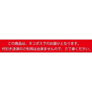おたふく手袋 JW-632 BT冷感・消臭パワ...の詳細画像5