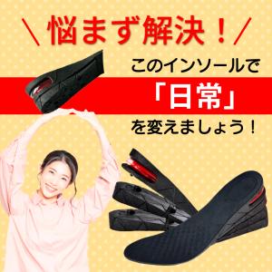 インソール シークレットインソール 背が高くな...の詳細画像4