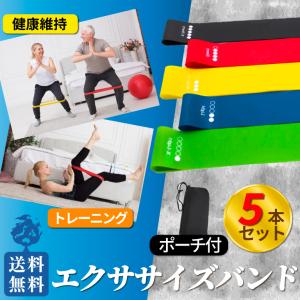 エクササイズバンド トレーニング チューブ 5本 バンド