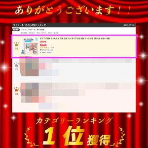 吊り下げ収納 クローゼット 底板入 ポケット付...の詳細画像3