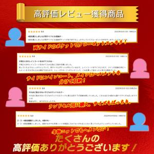 吊り下げ収納 クローゼット 底板入 ポケット付...の詳細画像4