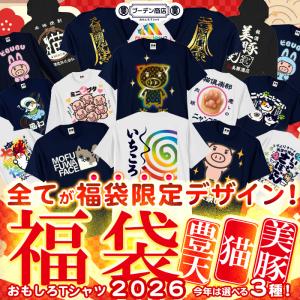 福袋 2026 メンズ おもしろtシャツ ブーデ...の商品画像