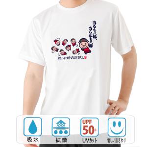 豊天商店（ブーデンショウテン） おもしろtシャツ ドライ 和柄 開運