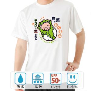 白菜のおくるみの商品一覧 通販 Yahoo ショッピング