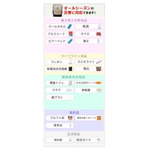 防災グッズ 1人用 45点 防災のミカタ 防災...の詳細画像3