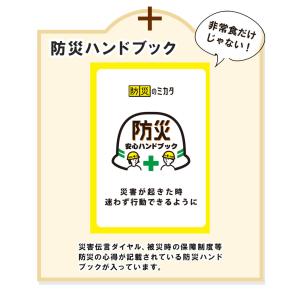 非常食セット 非常食 【9日(24食)+水9本...の詳細画像2