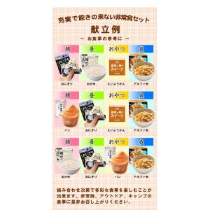 非常食セット 非常食 【9日(24食)+水9本...の詳細画像5
