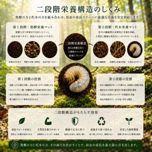 ウルトラカブトマット 10L×6袋の詳細画像3