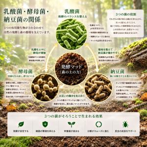 ウルトラカブトマット 10L×6袋の詳細画像4