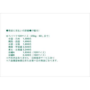 【super完熟発酵カブトマット】スーパーカブ...の詳細画像4