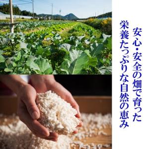 とうもろこし の 贅沢 ポタージュ スープスム...の詳細画像4