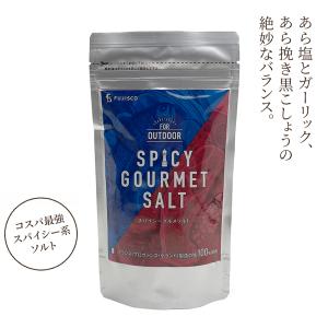 リニューアル スパイシー グルメソルト(200g)【フジスコ】 調味料 塩 メール便配送