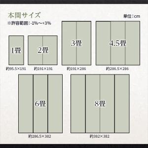 ラグ マット い草 調 江戸間6畳 約261×...の詳細画像4