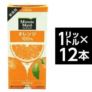 コカ・コーラ　（コカコーラ） ミニッツメイド オレンジ 100%　1L紙パック×12(6×2)本入〔...