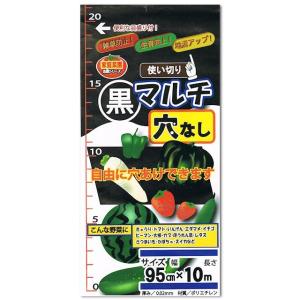 フォレスト - 黒マルチ　穴なし - ９５ＣＭＸ１０Ｍ
