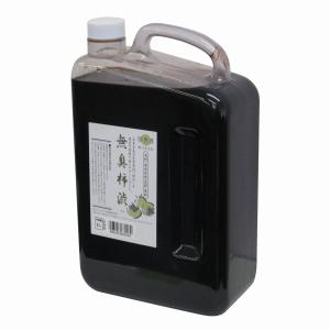 ターナー色彩 - 無臭柿渋 - 2L